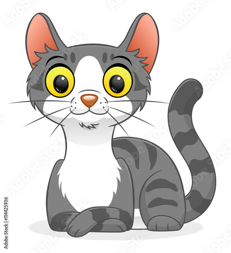 Fotografie Cute tabby cat
