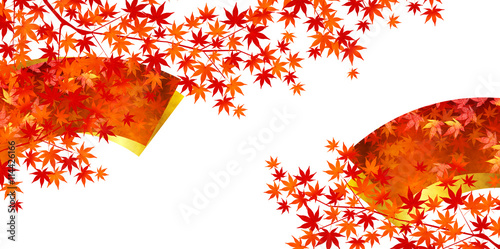 紅葉　秋　もみじ　背景