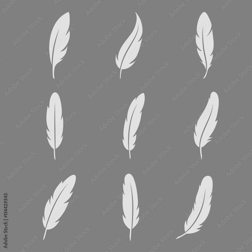 Feather icon vector set Feather icon vector set
