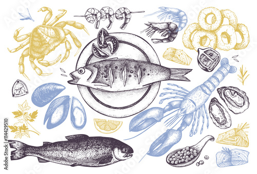 Vector Seafood set. Hand drawn sea food sketch collection - fresh fish, lobster, crab, oyster, mussel, squid and spice. Vintage fish dishes illustration. Seafood outlines.