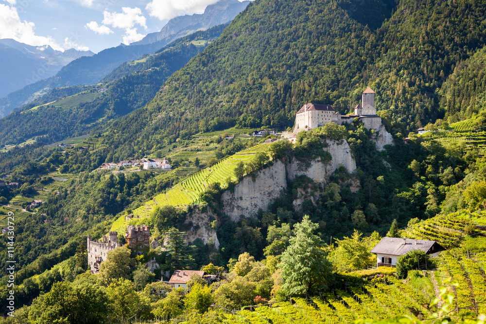 Vigne del Trentino Alto Adige