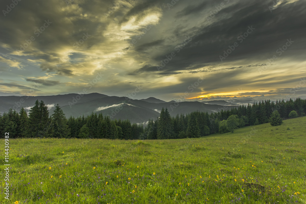 Evening time in the mountains. Dramatic scenery. Carpathian, Ukraine, Europe. Beauty world. Beautiful valley