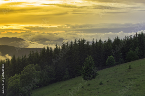 Evening is time in the mountains in a beautiful valley. Dramatic scenery. Carpathian  Ukraine  Europe. Beauty world.