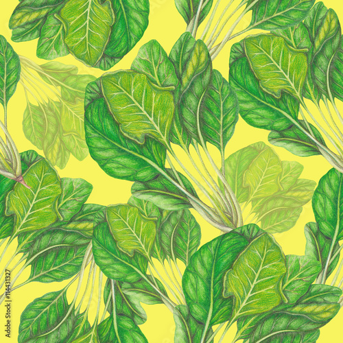 Seamless pattern of spinach on yellow background