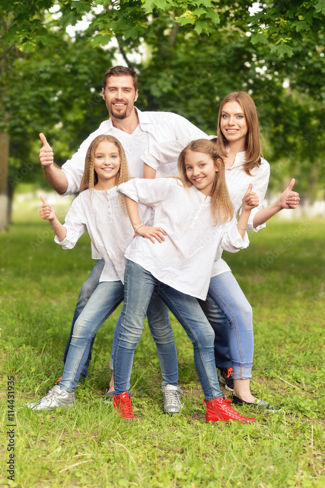 Fototapeta premium happy family at park