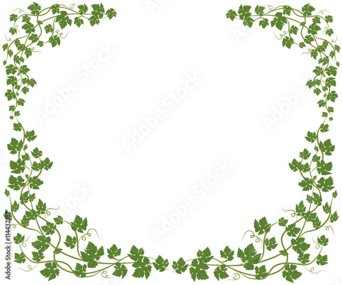 frame with vine leaves
