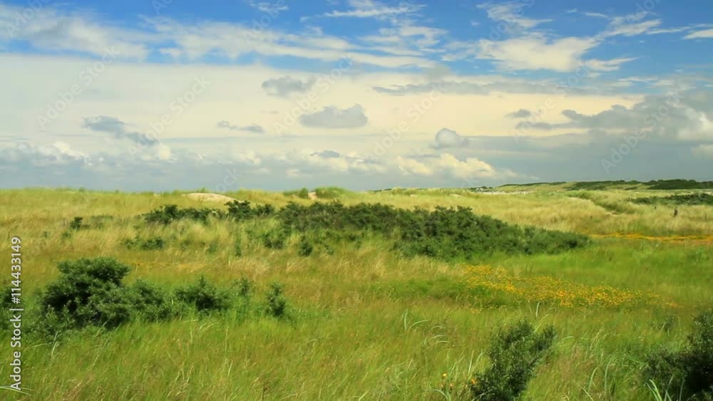 Nature reserve for nesting birds in the Dutch North Sea coast. Nature reserve for nesting birds in the Dutch North Sea coast.