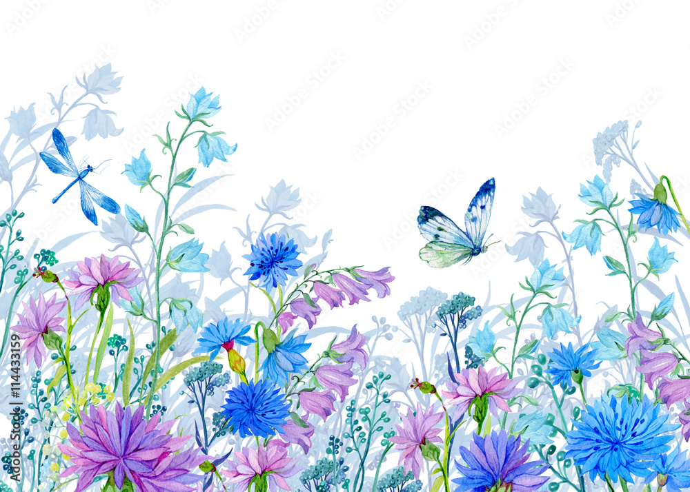 Naklejka tło ilustracji flowers.watercolor.Wildflowers i motyle. projektowanie tkanin, kart, tapet
