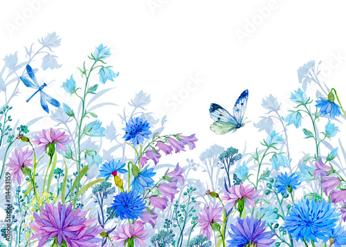 Obraz na płótnie tło ilustracji flowers.watercolor.Wildflowers i motyle. projektowanie tkanin, kart, tapet