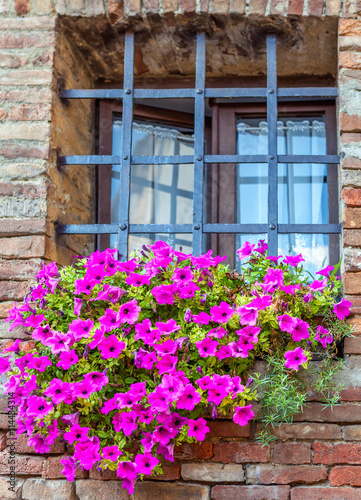 Barred window with a large flower bed of lilac flowers.