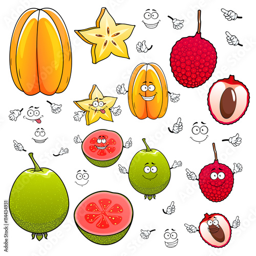 Cartoon carambola, lychee and apple guava fruits
