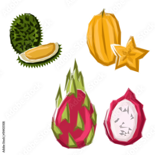 Polygonal geometric asian tropical fruits