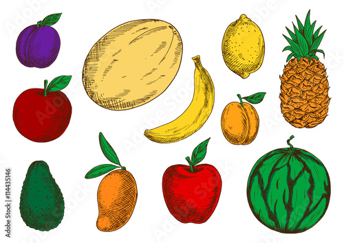 Healthy and fresh fruits colored sketch icons