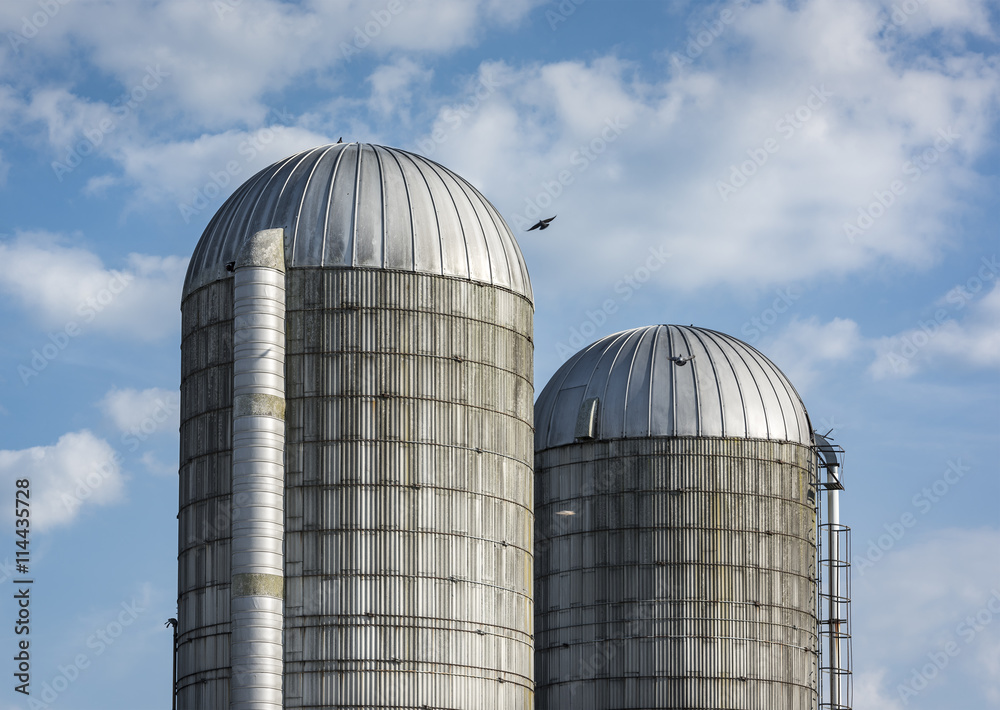 Silos in a Summer Sky: A pair of old farm silos set against a blue and white summer sky in the Hudson Valley of New York