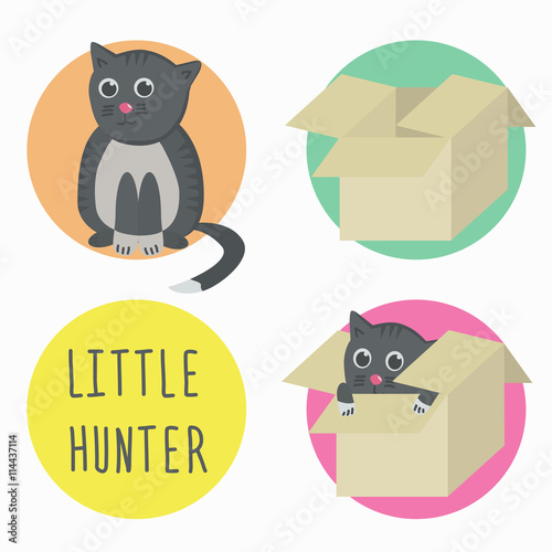 The cat is a little hunter with box. Cat in box. Vector illustration.