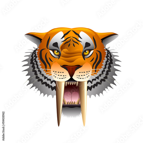 Saber-toothed tiger face isolated on white vector