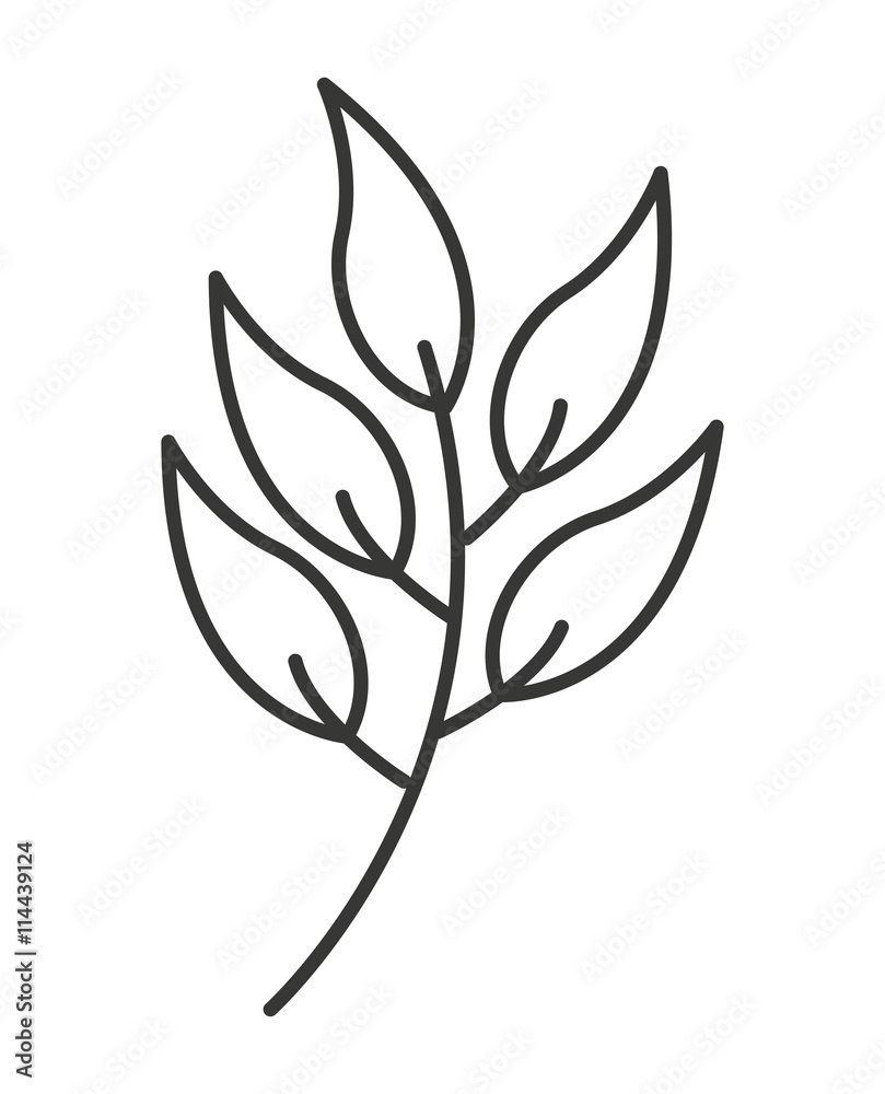 Fototapeta nature leaf isolated icon design