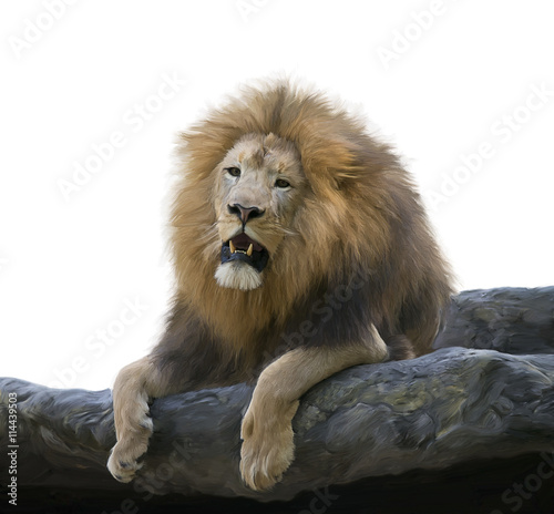 Fototapeta Naklejka Na Ścianę i Meble -  Lion on a Rock watercolor