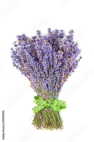 Bunch of lilac lavender on a white background.