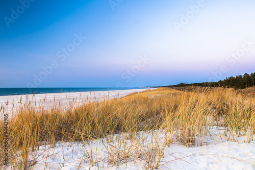 beautiful view of the coastal dunes