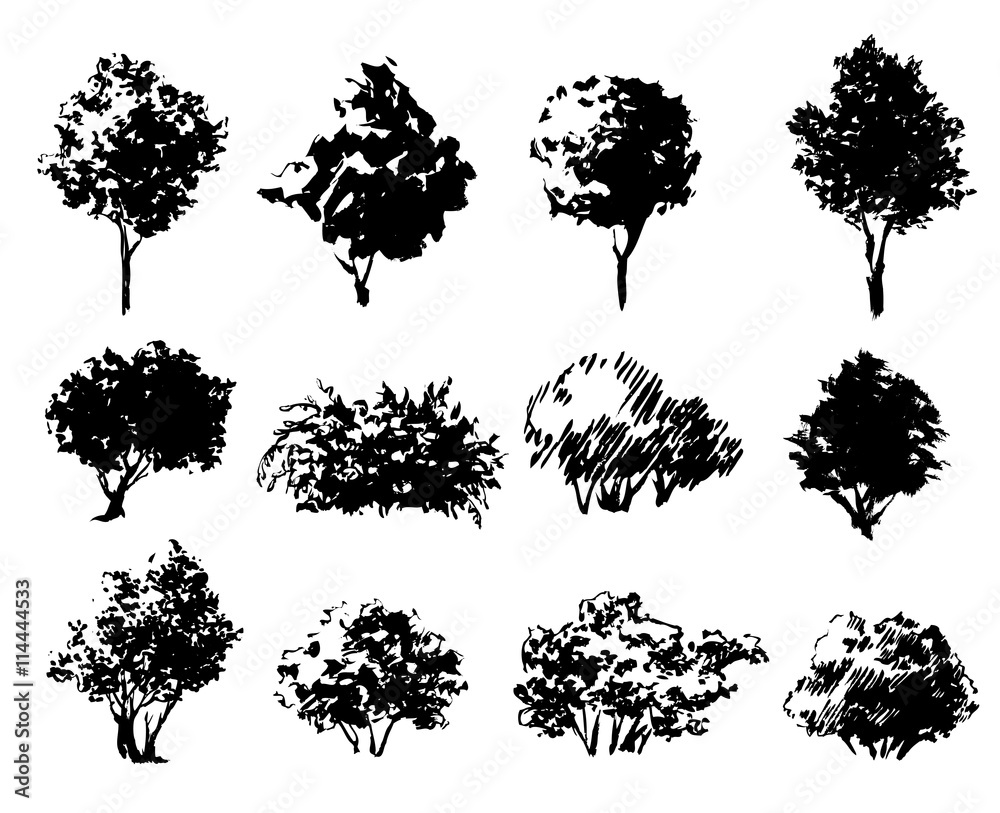 Set of hand drawn trees and bushes isolated on white. Sketches for ...