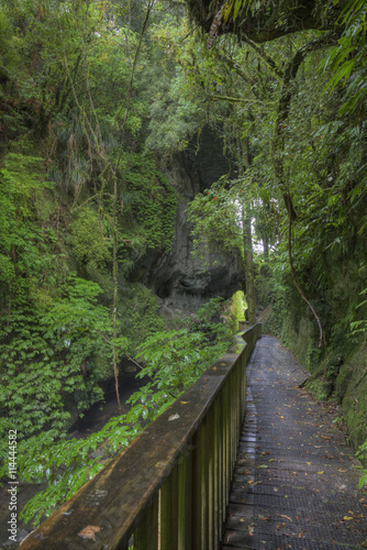 Walkway to Mangapohue Natural Bridge.