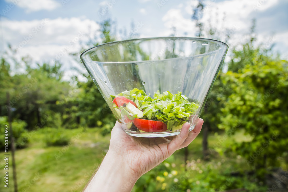 transparent big plate with salad in hand on the background of green garden