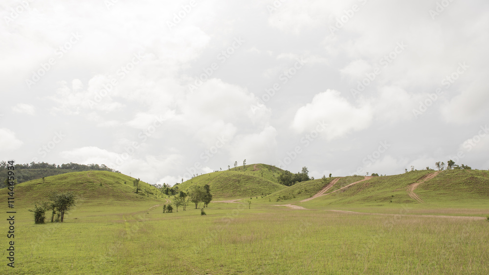 hill hill