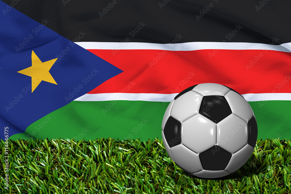 Soccer Ball on Grass with South Sudan Flag Background, 3D Rendering Soccer Ball on Grass with South Sudan Flag Background, 3D Rendering