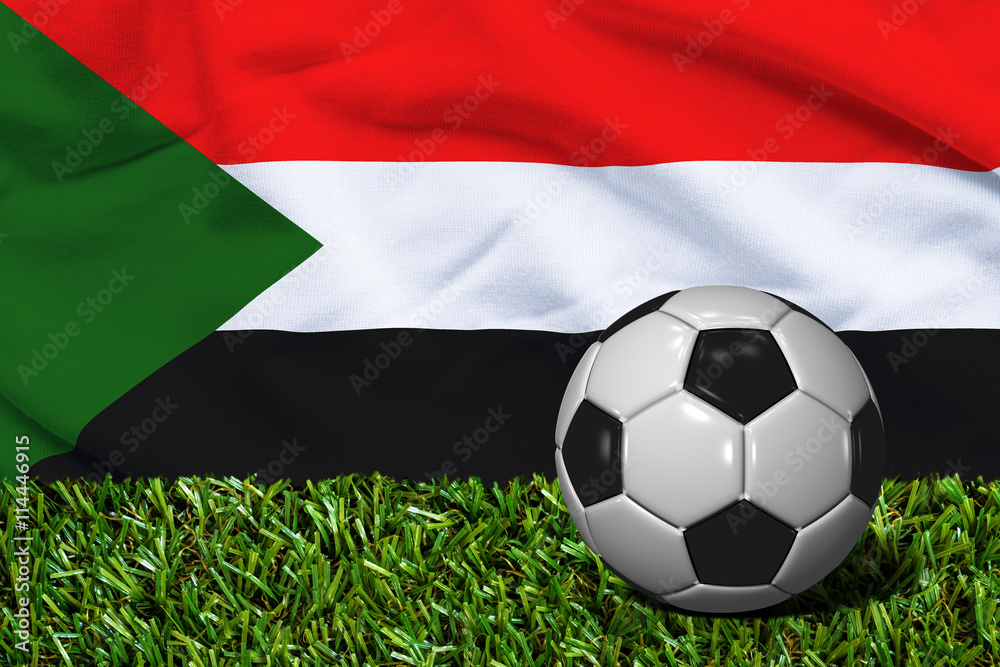 Soccer Ball on Grass with Sudan Flag Background, 3D Rendering Soccer Ball on Grass with Sudan Flag Background, 3D Rendering