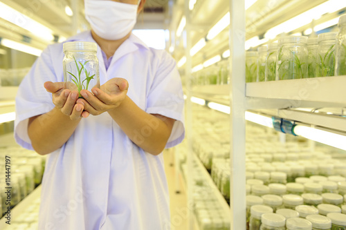 women hand hold plant tissue culture bottle in Lab background