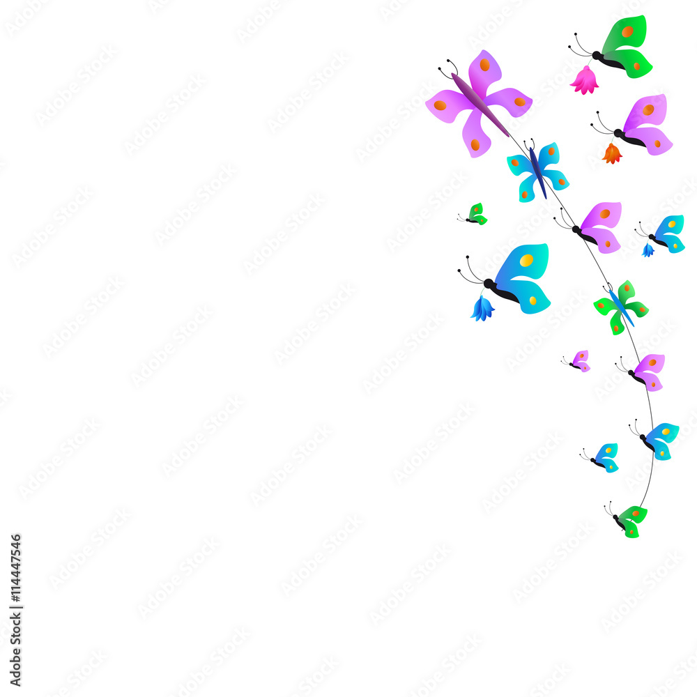 flowers flowers