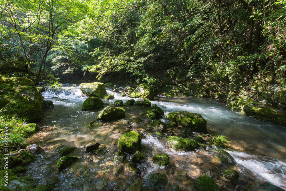 Obraz premium 愛媛県西予市 桂川渓谷
