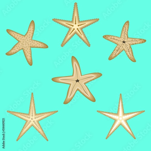 Starfish, a set of six options