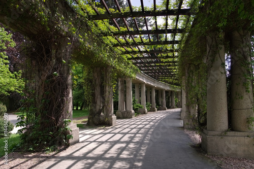 Breslau Pergola - Wroclaw Peergola in the park © LianeM