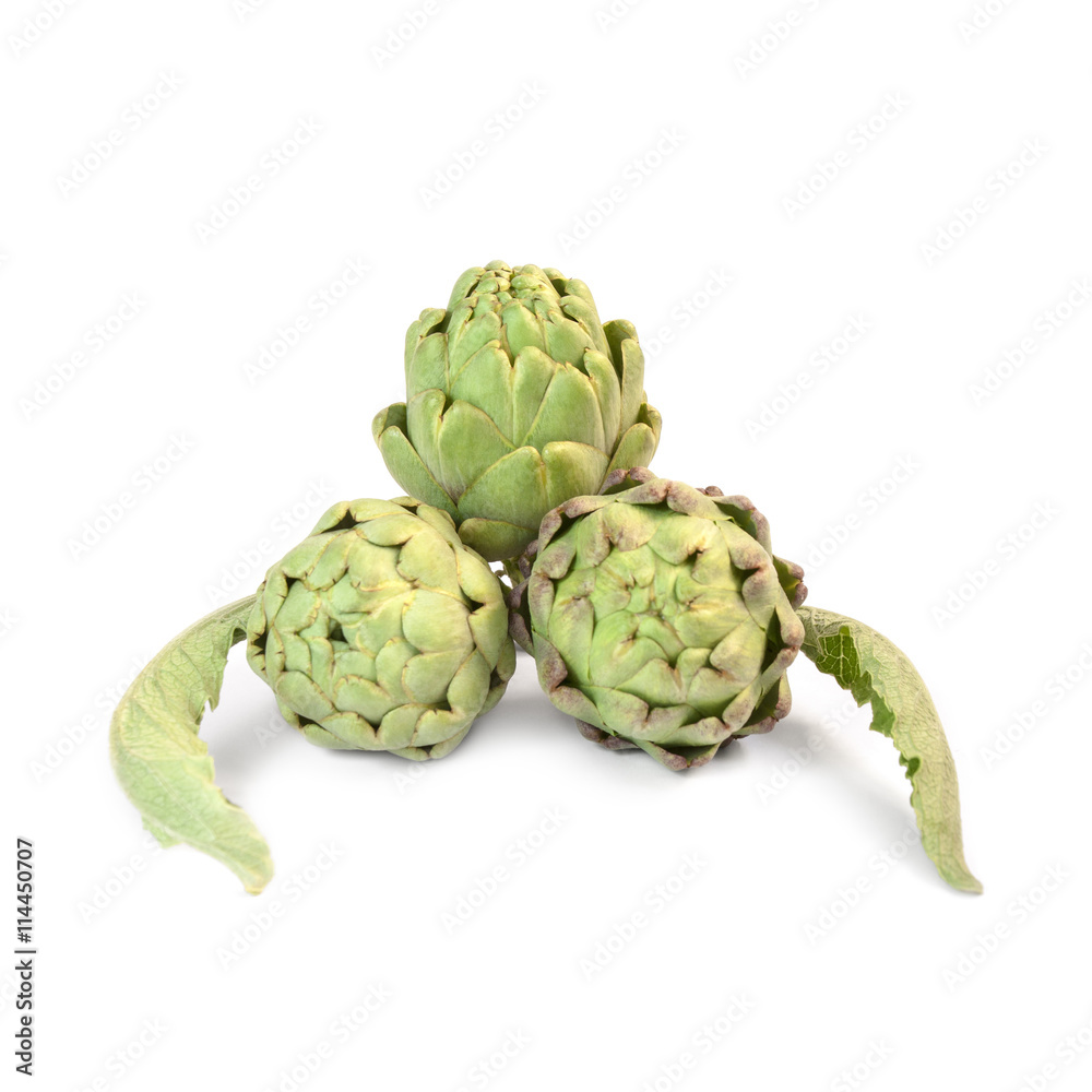 Artichoke isolated on white background Artichoke isolated on white background