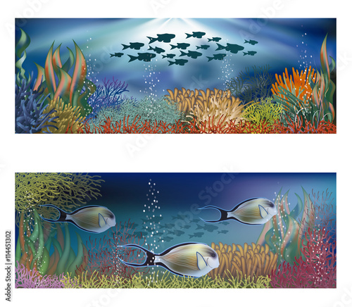 Underwater banners with tropical fish, vector illustration