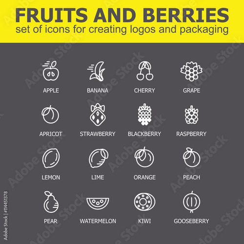 Fruit and berries icon collection - vector illustration. Fruit and berries icons set for creating logos and packaging. Fruit and berries line icons.
