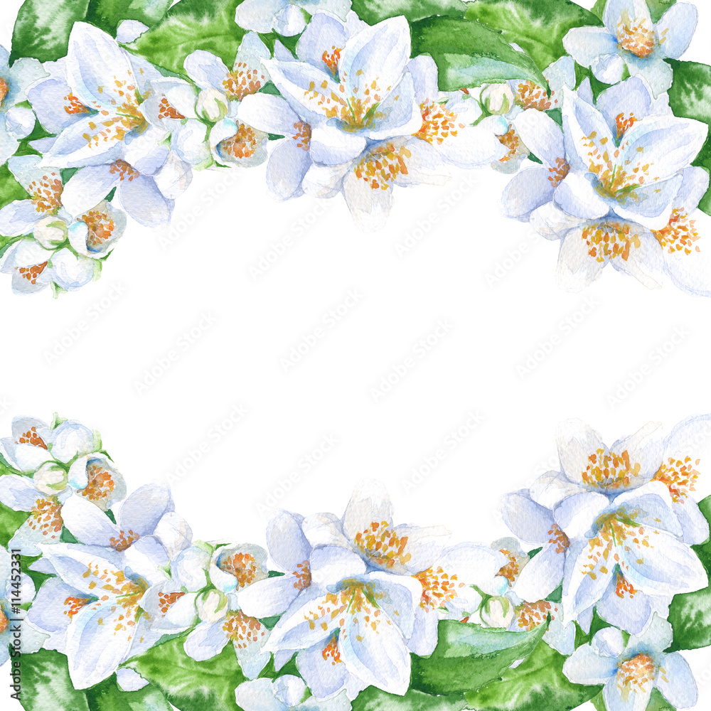 Frame with jasmine flowers. isolated. watercolor illustration.
