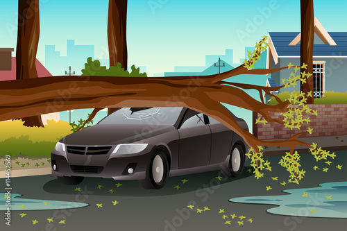Tree on a Damage Care