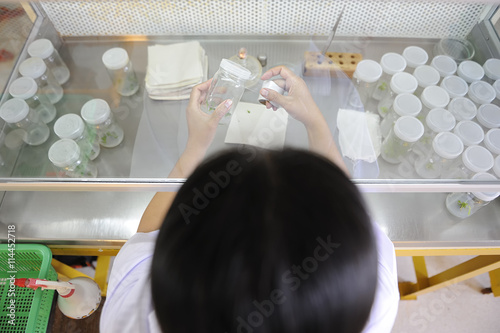 hand hold plant tissue culture bottle in Lab background