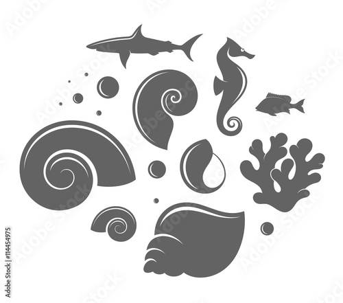 Shell and fish