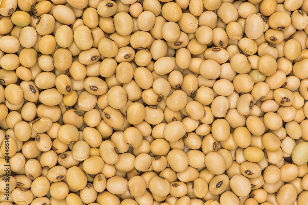 Soybean background, Soya Seed background and textured Soybean background, Soya Seed background and textured