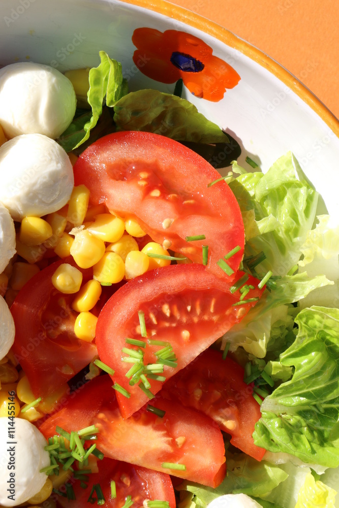 Gemischter Salat mit Mozzarella Stock-Foto | Adobe Stock