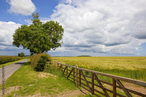 agricultural landscape with new fence