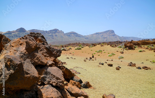 Volcanic landscape in National Park El Teide on Tenerife,Canary Islands,Spain.