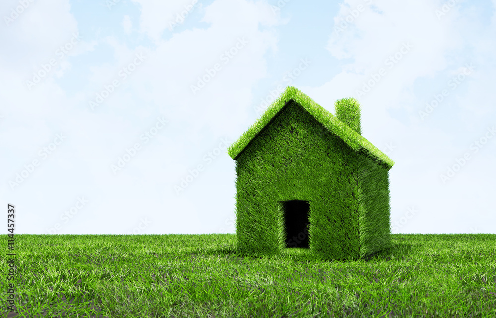 Green grass texture Green grass texture