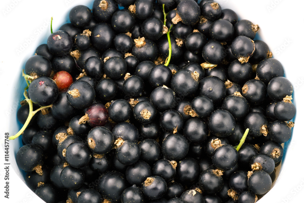 Black ripe currant berry top view, fruit background. Black ripe currant berry top view, fruit background.