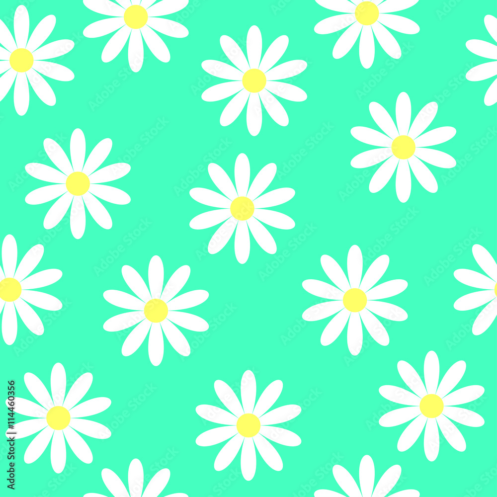 Seamless flower pattern. White daisies on a blue background. Small ...