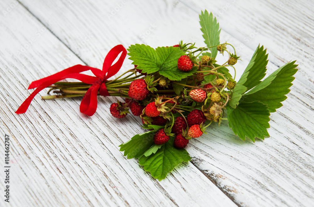 bunch of wild strawberry bunch of wild strawberry
